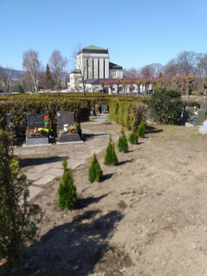 Pohled na hřbitov